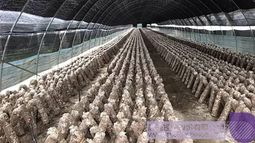 PP電子·(中國)官方網(wǎng)站