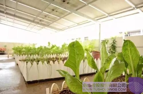 PP電子·(中國)官方網(wǎng)站