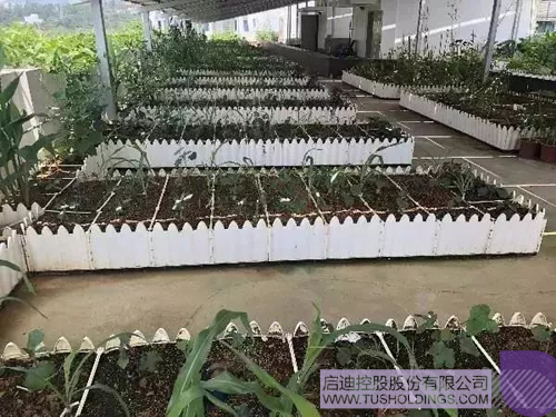 PP電子·(中國)官方網(wǎng)站